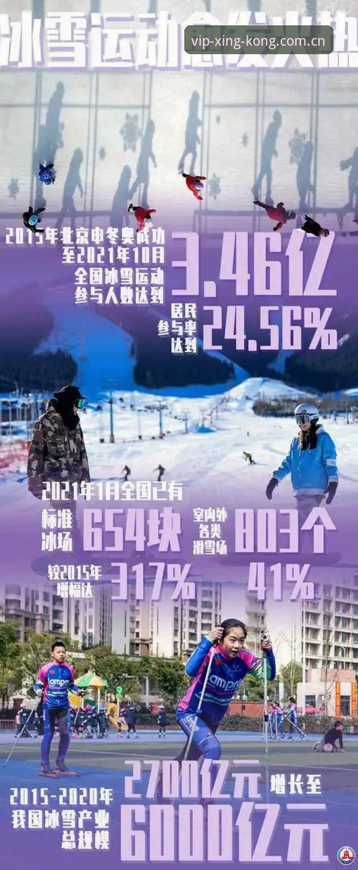 为什么星空体育赛事数据成为用户最关心的核心问题？